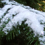 Decor Snow Iris 1 kg